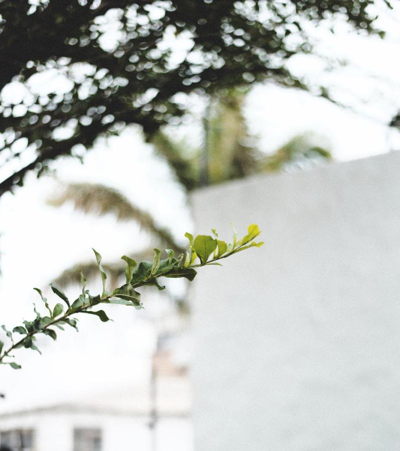 La Casa Del Totumo Santa Marta (Magdalena)