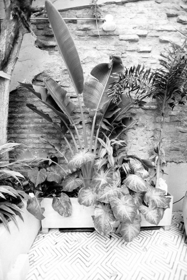 La Casa Del Totumo